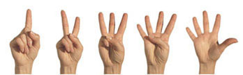 5 stappen